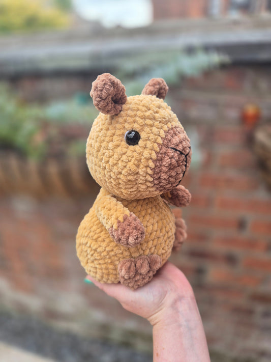 The Capybara - Dress up